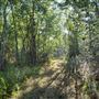The Oaks of Anahuac