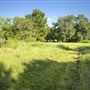 The Oaks of Anahuac