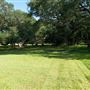 The Oaks of Anahuac