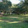 The Oaks of Anahuac