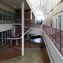 Vivaverse Campus