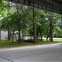 Vivaverse Campus