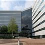 Vivaverse Campus