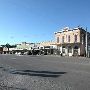 Flatonia