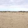 Boca Chica Beach & Dunes