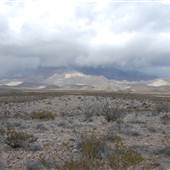 Guadalupe Mountains National Park - Williams Ranch Road