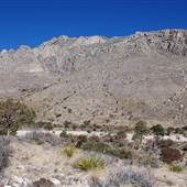 Guadalupe Mountains National Park - Pine Springs Canyon