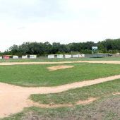 Sonny Gold Ball Park