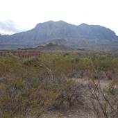 Big Bend National Park - Ward Springs Trail