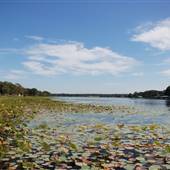 Lake Athens