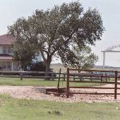 Arrington Ranch