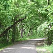 Bonham State Park
