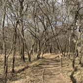 Bastrop County Nature Park