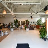 Eden Plant Co.