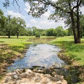 Allan Saxe Park