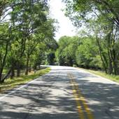 Tripp Road