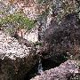 Big Bend National Park