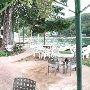 Ski Shores Cafe