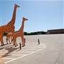 Dinosaur World