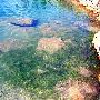 Blue Lagoon