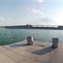 Mansfield Dam Park