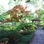 Fort Worth Botanic Garden - Japanese Garden