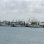 Port of Palacios