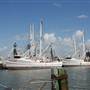 Port of Palacios