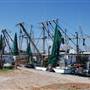 Port of Palacios