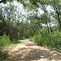 Pease District Park