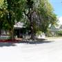 St. Charles Street Historic Neighborhood