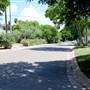 Palm Boulevard Neighborhood