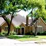 Palm Boulevard Neighborhood