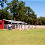 JR Stables