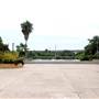 Fiesta Gardens