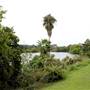Fiesta Gardens