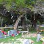 Polly Cemetery