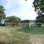 BK Ranch
