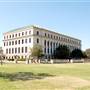 Texas A&M University