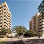 Texas A&M University