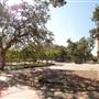 Texas A&M University