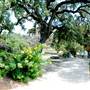 San Pedro Springs Park