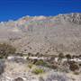 Guadalupe Mountains National Park - Pine Springs Canyon