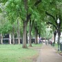 Travis Park