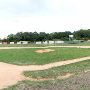 Sonny Gold Ball Park