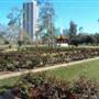 Houston Garden Center