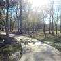 Hermann Park