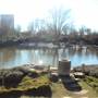 Japanese Garden in Hermann Park