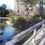 Japanese Garden in Hermann Park
