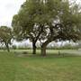 Beason's Park on the Colorado